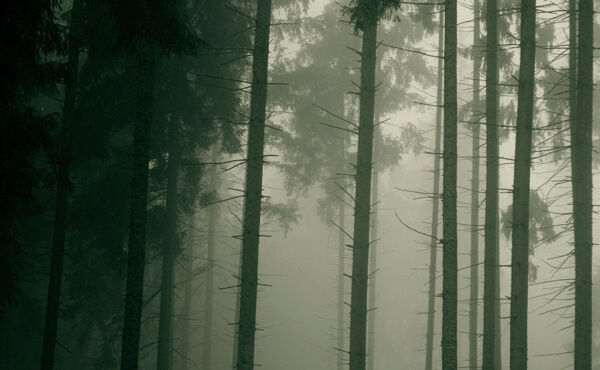 ภาพขนาดย่อ